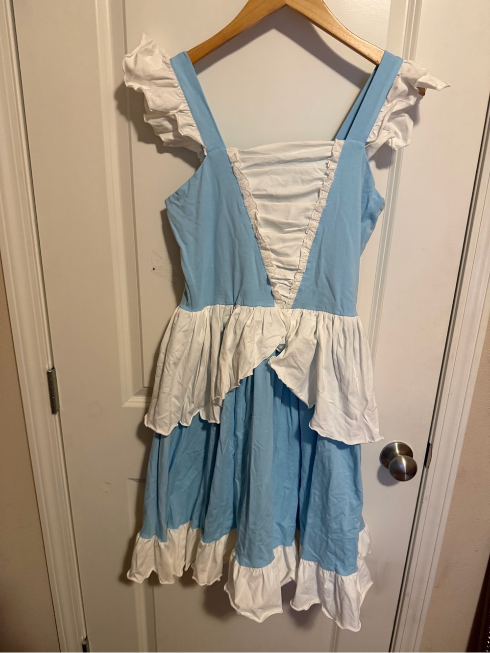 Only Little Once Adult Cinderella Dress New without Tags